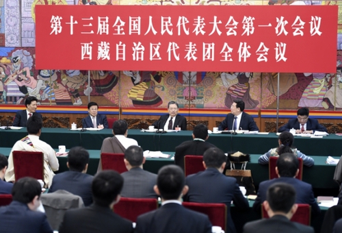 赵乐际参加西藏代表团审议