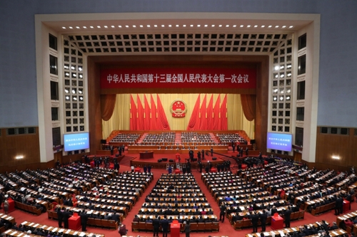 （6）十三届全国人大一次会议举行第三次全体会议