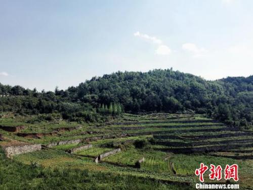 点击进入下一页