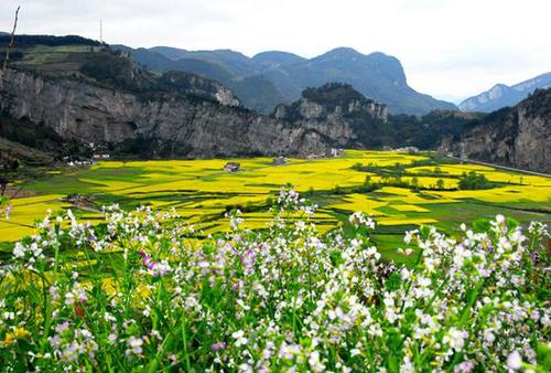 乡村旅游
