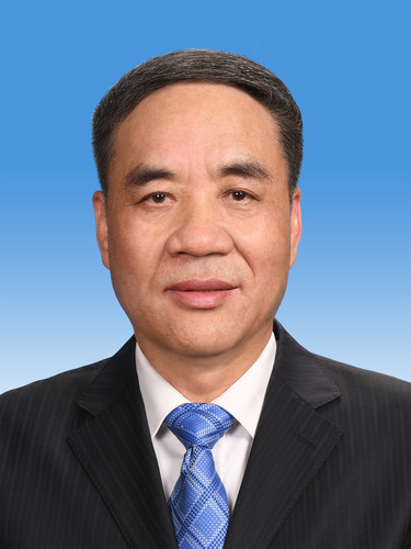 中国人民政治协商会议第十三届全国委员会副主席辜胜阻新华社发