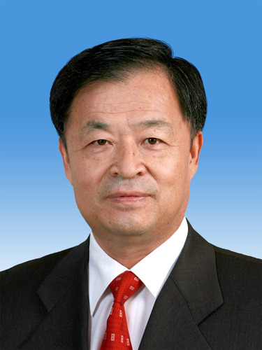 中国人民政治协商会议第十三届全国委员会副主席杨传堂新华社发