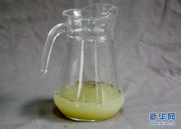西咸新区空港新城岩村秦人墓葬发掘中发现的约300毫升液体（资料照片）