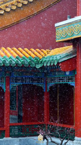 故宫扫不扫雪?博鳌论坛上故宫掌门人回答这些问题