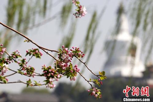 点击进入下一页
