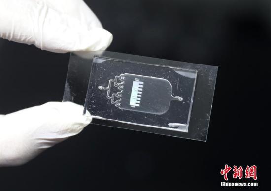 4月2日，东南大学生物医学工程学院生物电子学国家重点实验室赵远锦教授在南京展示由他带领的课题组研发的“变色龙”心脏芯片。据了解，“器官芯片”是利用微加工技术，通过在微流控芯片上仿生构建微器官来替代生物体，进行药物评估和生物学研究等，该项技术作为构建未来新药评价体系的重要发展趋势，近年来越来越受到业界关注。<a target='_blank' href='http://www.chinanews.com/'>中新社</a>记者 泱波 摄