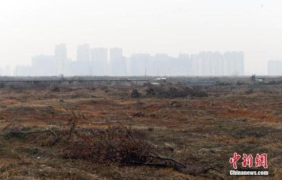 资料图：土地已平整的区块。<a target='_blank' href='http://www.chinanews.com/'>中新社</a>记者 王刚 摄