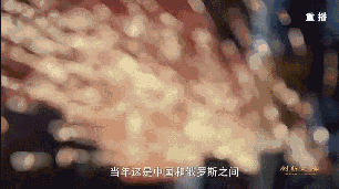 2007年，当一期工程2号机组进行技术调式时，中国方面却遇到了重大困难。