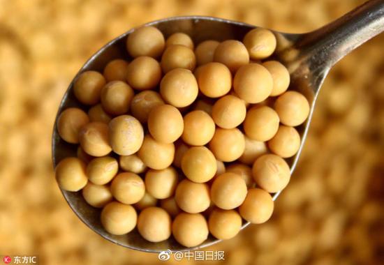 美国代表:美对华出口大豆今年或减20% 农民受影响