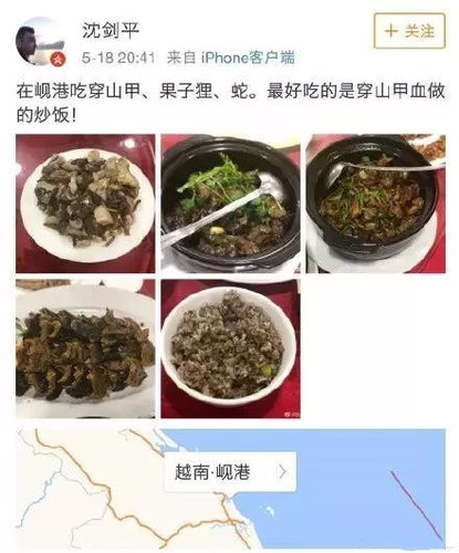 副总吃穿山甲被解聘 公司曾成立环保公益基金会