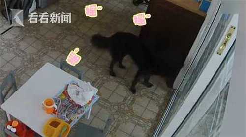 微信图片编辑_20180523105229.jpg