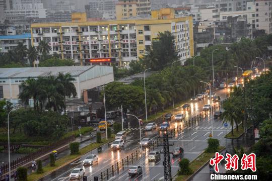 图为热带风暴给海口带来风雨影响。　洪坚鹏 摄