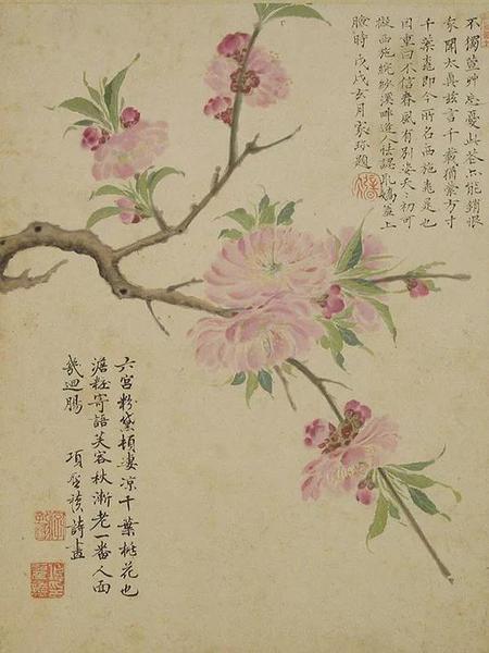 明 项圣谟《花卉图册》