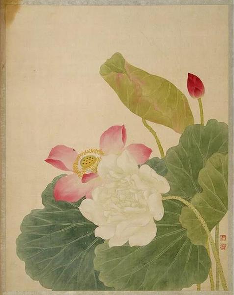  清    唐桂凝 《 花卉册》