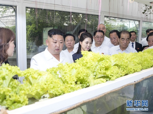 6月20日，中共中央总书记、国家主席习近平在北京钓鱼台国宾馆会见朝鲜劳动党委员长、国务委员会委员长金正恩。这是当天，金正恩参观中国农业科学院国家农业科技创新园。