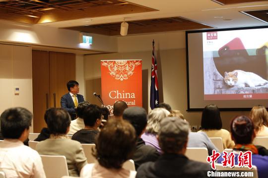 中国侨网讲座现场。 林丹　摄