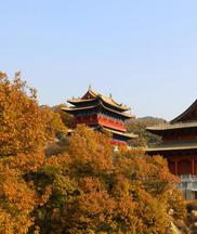 会上委员和专家们的发言,“知实情,接地气”