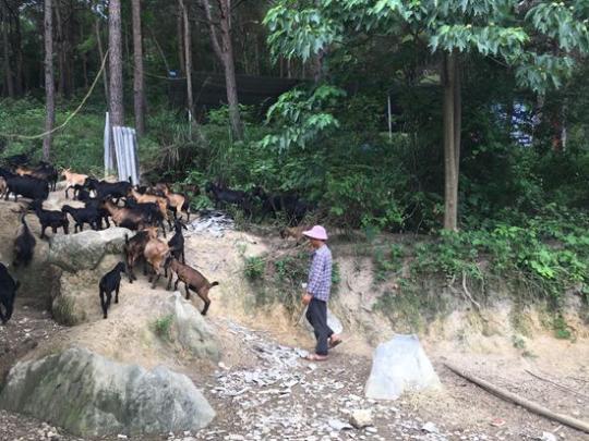 点击进入下一页