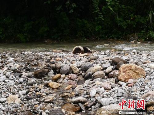 点击进入下一页