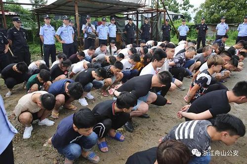 男子网上竞猜被骗880万 警方顺藤摸瓜抓嫌犯237人