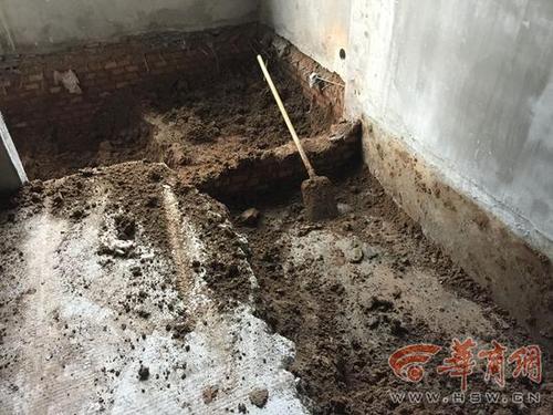 小区一楼住户为建复式向下挖 物业:不要紧可以挖
