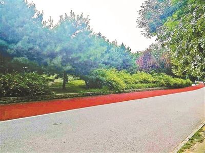 老人公园拍荷花6万摄影器材被抢 北京警方介入调查