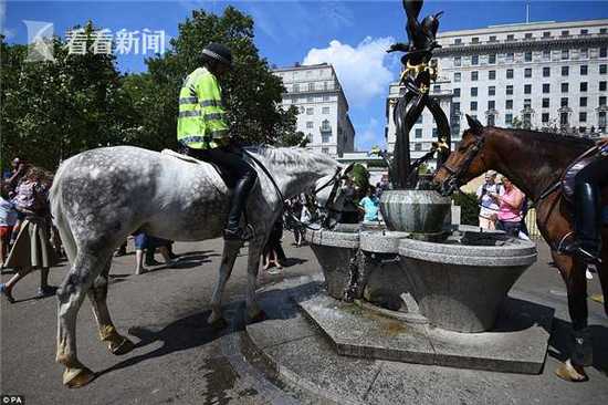 欧洲多国持续高温 英国或限水禁止浇花洗车