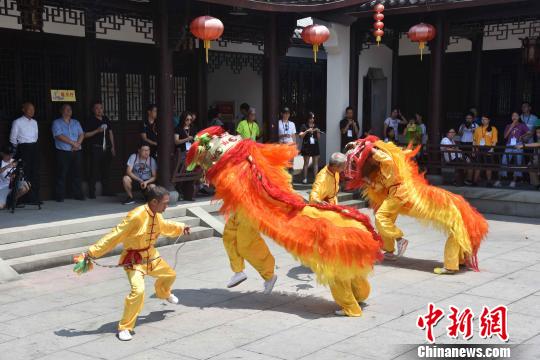 图为：香港青年在浙江临海欣赏“黄沙狮子”表演 范宇斌 摄