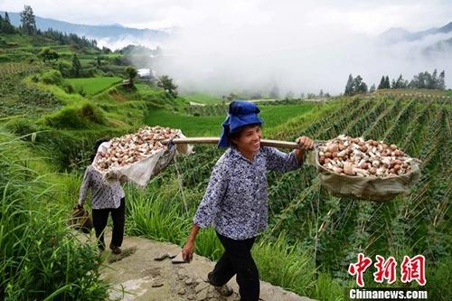 点击进入下一页