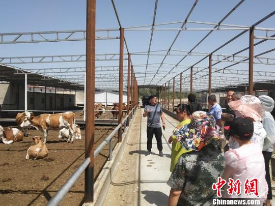 培训班组织学员实地参观开拓眼界。(资料图) 王刚 摄