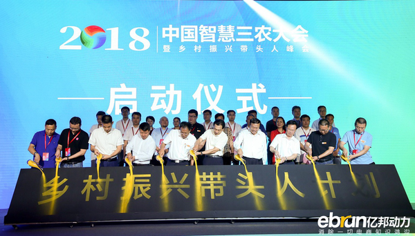 图片6