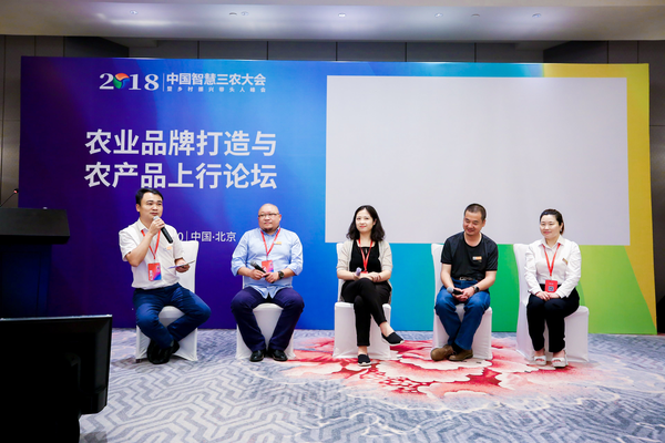 图片11