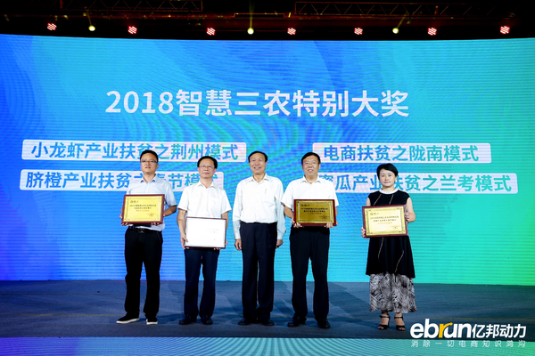 图片13