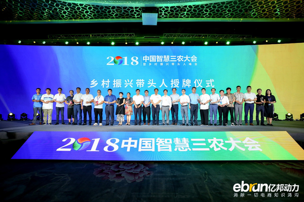 图片14