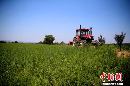 点击进入下一页