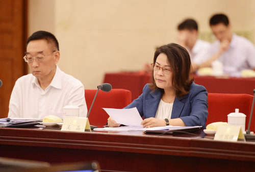 吴晶委员发言。
