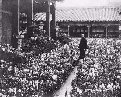 故宫养心殿房梁取出罕见宝匣 标注年款嘉庆六年