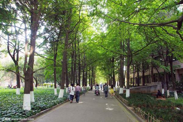 大学校园