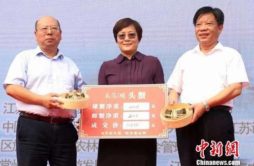 捕捞出的头蟹（雄蟹446克，雌蟹248克）被拍出了12888元的价格。　陈新　摄
