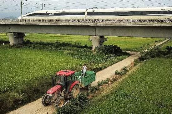 媒体：农村土地市场再放开些 也乱不起来
