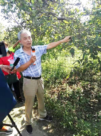 2河北省林业科学研究院经济林研究所所长毛向红涞水薄皮核桃基地授课