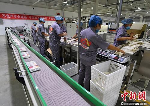 资料图。 <a target='_blank' href='http://www.chinanews.com/'>中新社</a>记者 刘新 摄
