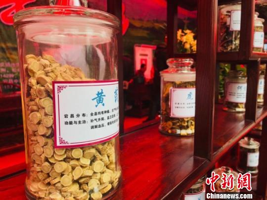 图为活动期间展出的甘肃陇南市中药材。　闫姣 摄