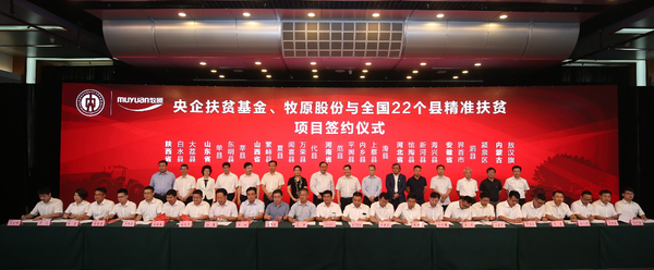 图片10