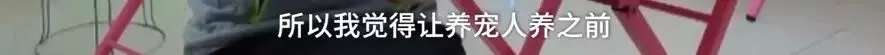 济南现共享宠物狗：养一天收费30元 不想养了就退 