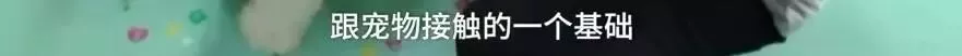 济南现共享宠物狗：养一天收费30元 不想养了就退 