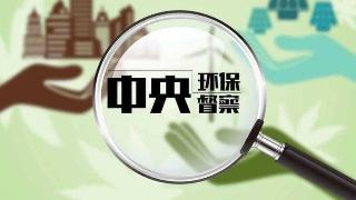 环保督察