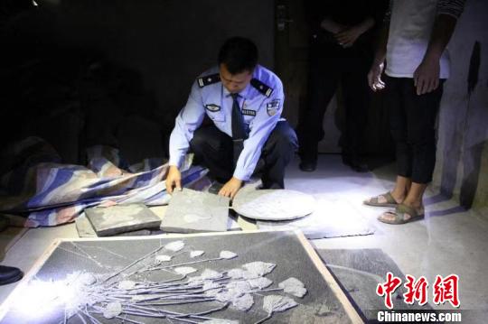 被盗挖的古生物化石。