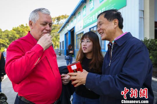 中外专家湖北宜都共研“宜红茶与中俄万里茶道”