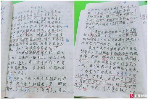 小学生作文《可怜啊》走红 哀叹每天才5毛零花钱